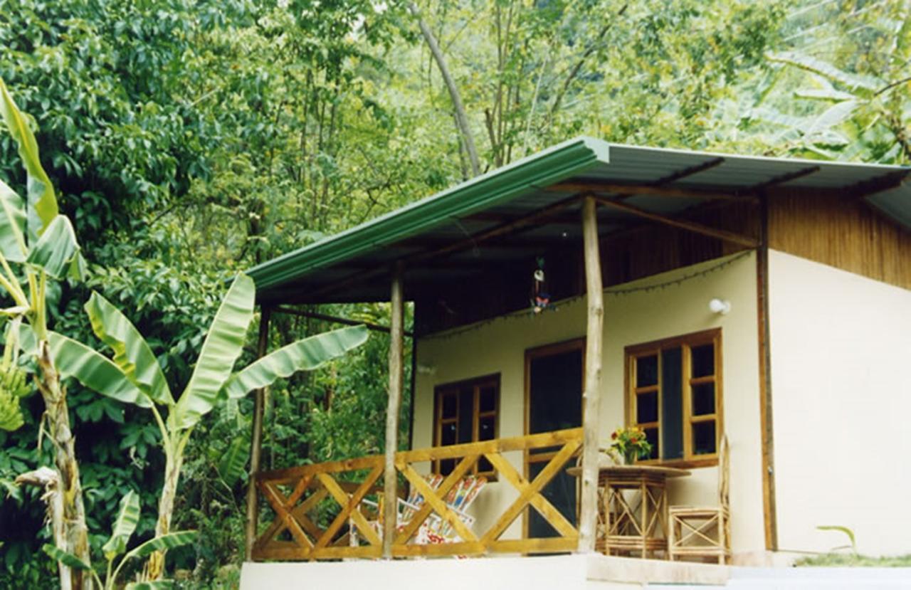 Coconut Grove Oceanfront Cottages Dominical Luaran gambar