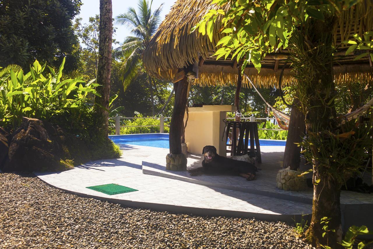 Coconut Grove Oceanfront Cottages Dominical Luaran gambar