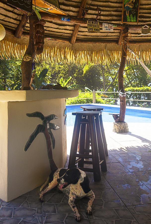 Coconut Grove Oceanfront Cottages Dominical Luaran gambar