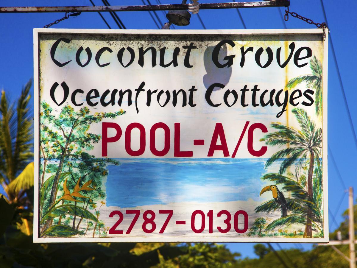 Coconut Grove Oceanfront Cottages Dominical Luaran gambar